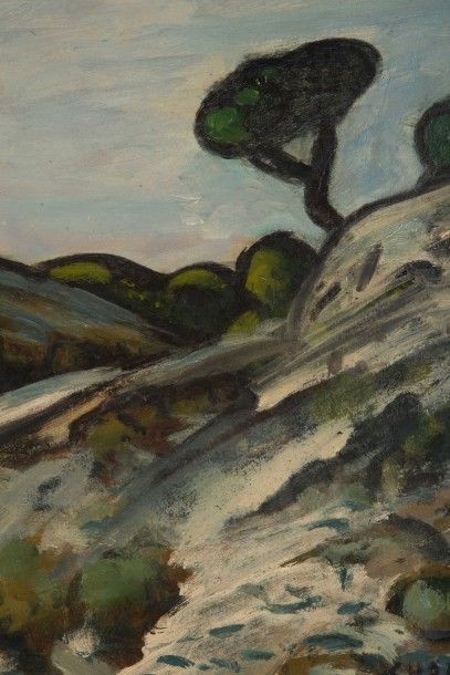 null Auguste CHABAUD (1882-1955)

Chemin entre les montagnettes.

Huile sur carton.

Signée...