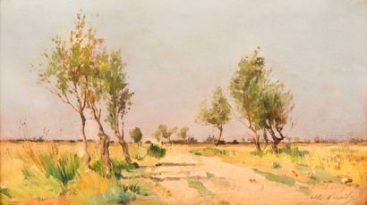 Alfred CASILE (1848-1909)

Paysage provençal.

Huile...