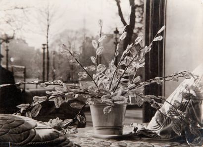 GERMAINE KRULL (1897-1985) A l'étalage de Jane Lanvin, Paris, c.1930. Tirage argentique...