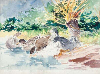 Joseph CABASSON (1841-1920) Les canards. Aquarelle. Signée en bas à droite. 30 x...