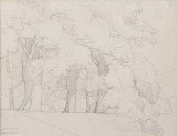 Gustave COURBET (1819-1877) Paysage aux grands arbres. Dessin au crayon. Cachet du...