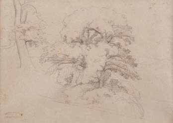 Gustave COURBET (1819-1877) Paysage aux grands arbres. Dessin au crayon. Cachet du...