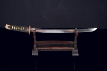 null Shinto kodachi Japon - Fin Epoque Edo (1603 - 1868) 



Shinogi zukuri, hamon...