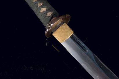 null Shinto wakizashi Japon - Milieu Epoque Edo (1603 - 1868)



 Lame de naginata,...