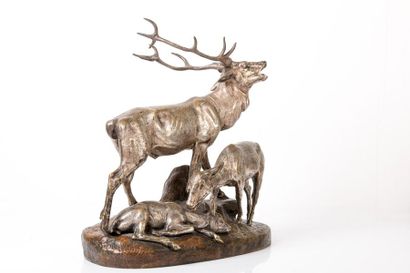Clovis-Edmond MASSON (1838-1913) Cerf et biches

Bronze a patine verte.

Signé C....