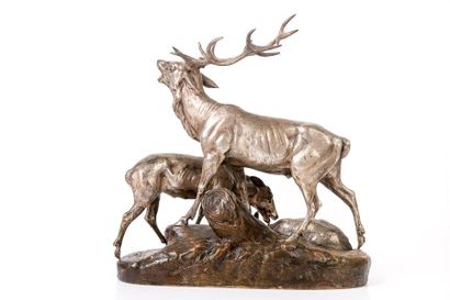 Clovis-Edmond MASSON (1838-1913) Cerf et biches

Bronze a patine verte.

Signé C....