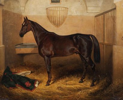 Theodor SCHLOEPKE (1812-1878) Portrait du cheval Philips. Huile sur toile. Signée...