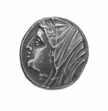 null Sicile Syracuse, Philistis épouse de Hiéron II 275-215

16 litrae, argent, 13,01...