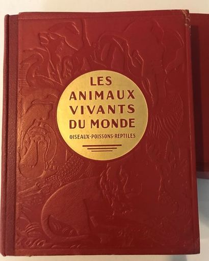 null Charles J. CORNISH : Les Animaux Vivants du Monde - Ernest Flammarion éditeur...
