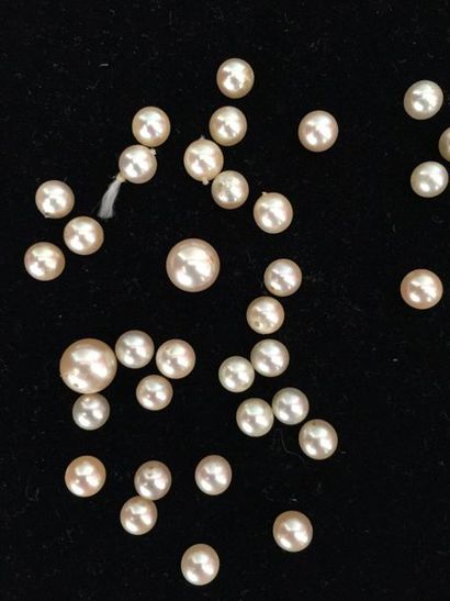 null 1 batch of 38 cultured pearls