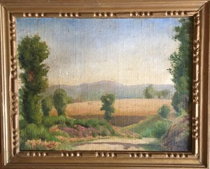 null BONNIN Landscape. Two oils on canvas pasted on panel, SBD.

25 X 32cm.