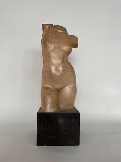 null EDGAR ALLAN HOWES (1888-1969) Buste de femme marbre patiné sur socle de pierre...