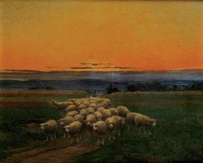 Edouard PAIL (1851-1916) Moutons au soleil couchant Huile sur toile signée en bas...