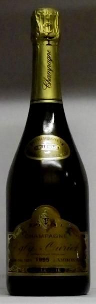 null 1 BOUTEILLE CHAMPAGNE EGLY-OURIET GRAND CRU 1995