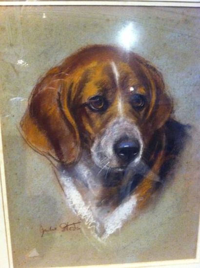 Ecole XXième Beagle, pastel sur papier - Dim: 43x32,5cm - signature illisible en...