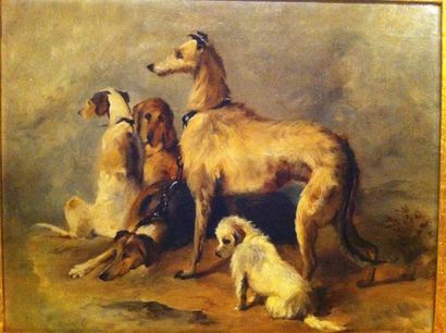 Ecole Anglaise XXe "Groupe de chiens" Huile sur toile 34,5 x 44,5 cm