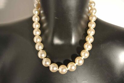 null Lot composé de 3 colliers de perles nacrées et d'un collier colerette à mailles...