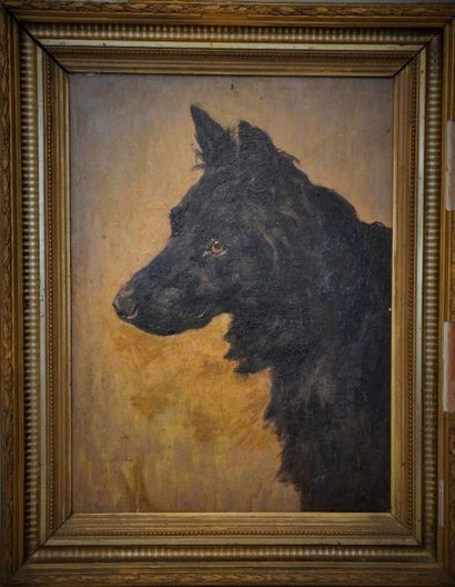 null Ecole du Nord de la fin du XIXème siècle. Portrait de chien, huile sur panneau....
