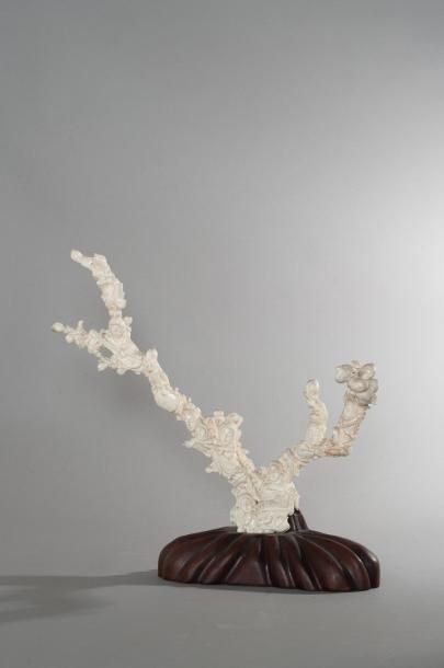 CHINE Grand sujet en corail blanc représentant des musiciennes entourées de branches...
