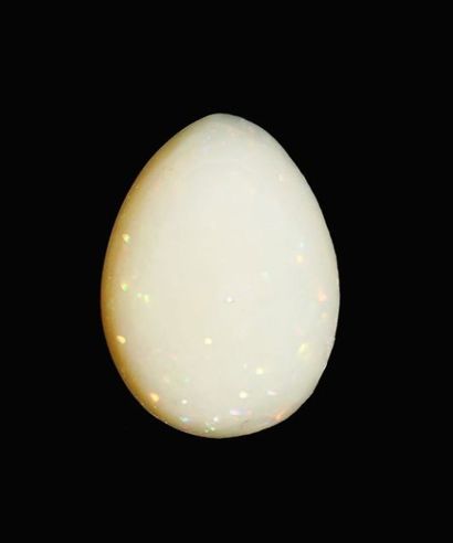 null Opale multicolore. Cabochon piriforme. L :3 cm