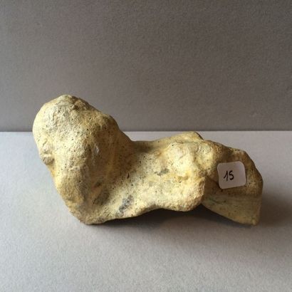 null " Os de dragon "

Dragon bone. Monstre fossile transformé en pierre minérale....