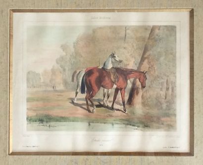 null D'après Alfred de Dreux

Les chevaux

Paire de gravures anglaises

25 x 32 ...