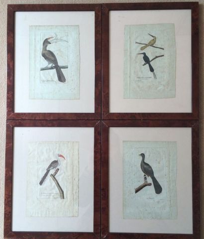 null MARTINET 

Suite de 7 gravures d'oiseaux en couleurs

21 x 14 cm