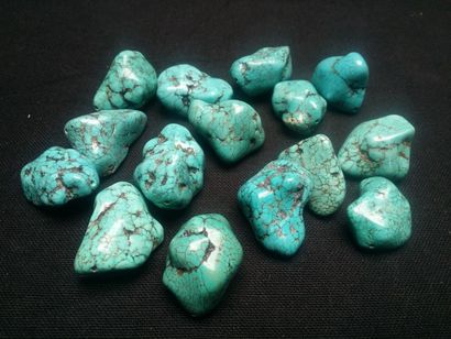 null Quinze perles en turquoise du Tibet.