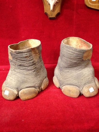 null Eléphant d'Afrique (I/A) pré-convention : une paire de pieds à l'origine montés...