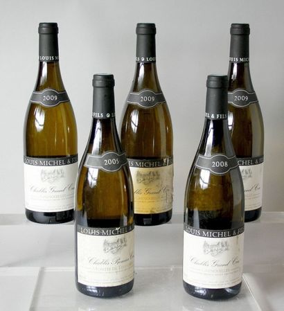 null 5 Bouteilles CHABLIS DOMAINE LOUIS MICHEL : 1 Bouteille CHABLIS 1er cru "Montée...