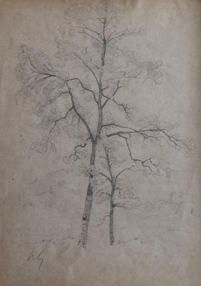 null Henri Joseph HARPIGNIES (1819-1916)

Etude d'arbres

Mine de plomb, signé des...