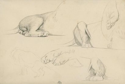 null Jean-Léon GERÔME (1824-1904)

Etudes de lion

Crayon noir ; cachet au dos "...