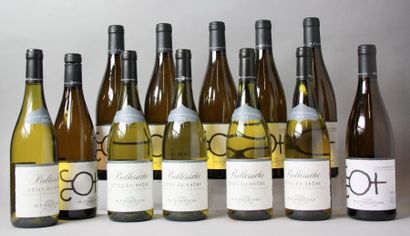 null Lot de 12 bouteilles VINS BLANCS VALLEE RHÔNE - DOMAINE CHAPOUTIER : 

5 Bouteilles...