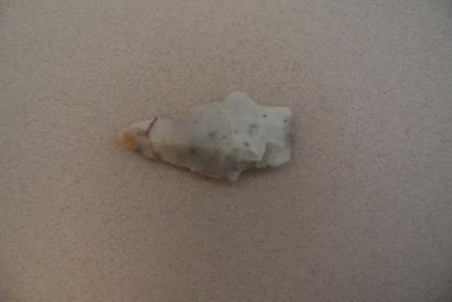 null Pointe de flèche néolithique en silex opale. 

L :5cm.