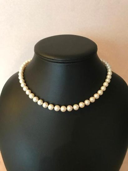 null Collier de perles ras de cou fermoir or 585 millièmes - Poids brut : 33,2 g