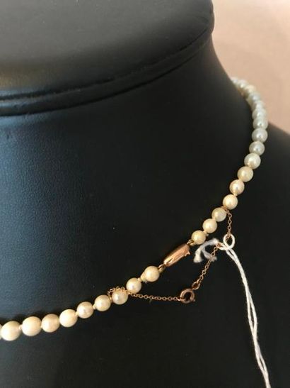 null Collier de perles de culture en légère chute fermoir or 750 millièmes - Poids...