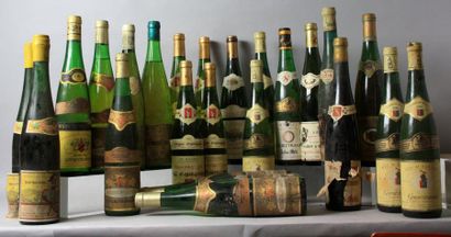 null 24 bouteilles de VINS D'ALSACE VINS DIVERS : 

19 bouteilles de GEWURSTRAMINER...