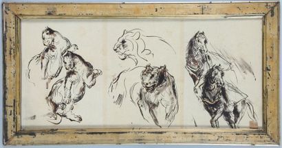 null Alfred DEHODENCQ (1822-1882) 

Etudes de félins et de chevaux encre de chine...