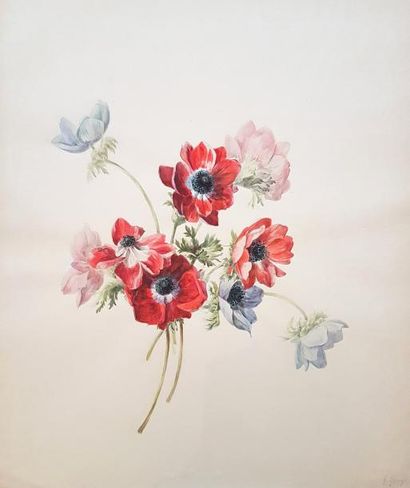 null ECOLE FRANÇAISE XIXème siècle

Anémones

Aquarelle

55 x 43,5 cm