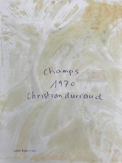 null Christian DURIAUD (né en 1944)

Champs

Huile sur papier signée en bas à droite...