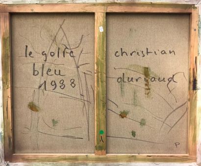 null Christian DURIAUD (né en 1944)

Le golfe bleu

Huile sur toile signée en bas...