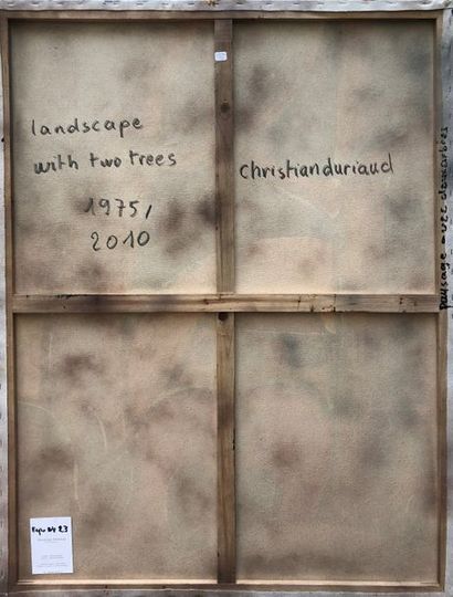 null Christian DURIAUD (né en 1944)

Landscape with two trees

Huile sur toile signée...