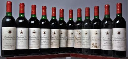 null 12 bouteilles GAILLAC - CHÂTEAU DE SALETTES " L'Authentique" 1993 

Etiquettes...