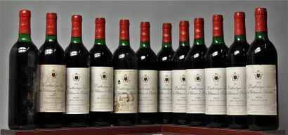 null 12 bouteilles GAILLAC - CHÂTEAU DE SALETTES " L'Authentique" 1992 et 1 de 1993...