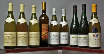 null Lot de 9 bouteilles VINS BLANCS DIVERSES REGIONS DE FRANCE : 

1 COTEAUX DU...