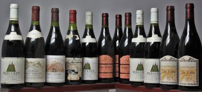 null Lot de 12 bouteilles VINS ROUGES DIVERSES REGIONS DE FRANCE : Etiquettes légèrement...