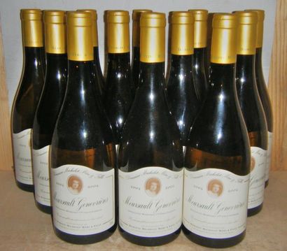 null 12 bouteilles MEURSAULT "GENEVRIERES" DOMAINE MICHELOT MERE ET FILLE 2004