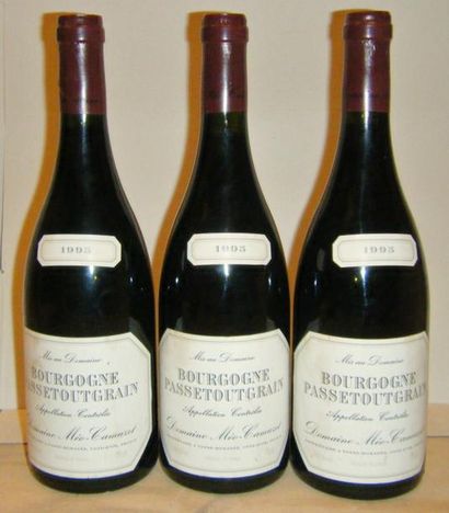 null 3 bouteilles BOURGOGNE PASSETOUTGRAIN - MEO CAMUZET 1995 Etiquettes légèrement...