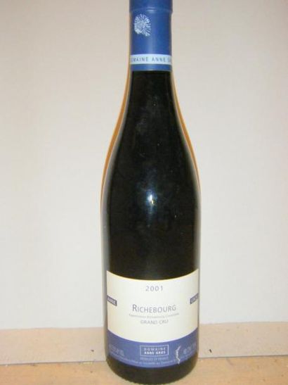 null 1 bouteille RICHEBOURG - ANNE GROS 2001 Etiquette très légèrement abîmée. Label...