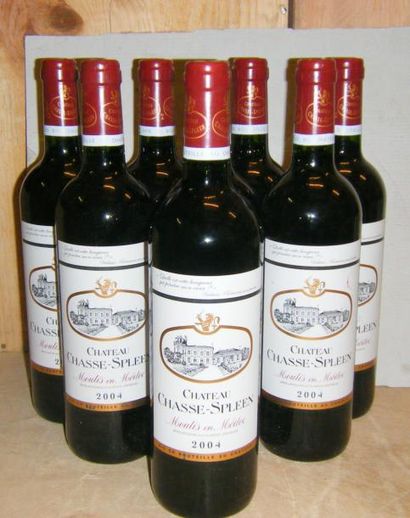 null 9 bouteilles CHASSE SPLEEN 2004
